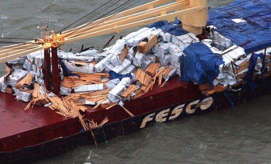 english-channel-kent--timber-spillage